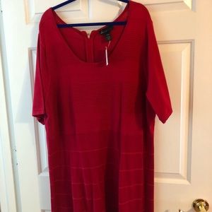 Lane Bryant dress. NWT